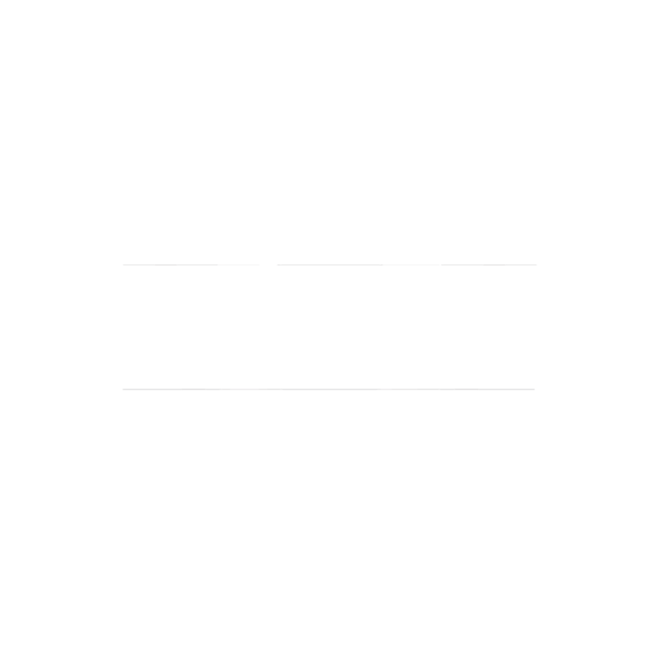 Tommie Motorsports Logo